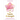 The Female Archangels: Reclaim Your Power with the Lost Teachings of the Divine Feminine