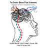 The Smart Brain Pain Syndrome: The Primer for Teens & Young Adults in Pain