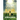 Divine Healing