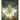 The Yule Tomte and the Little Rabbits: A Christmas Story for Advent