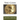 The Coin