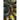 The Key