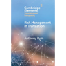 Risk Management in Translation