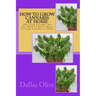 How to Grow Cannabis at Home: This book Provides All You Need To Know About Growing Cannabis at Home