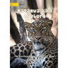 Big Cats - Katamwa aika buubura (Te Kiribati)