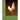 Poultry Culture for Profit: Housing, Hatching, Rearing and Feeding Chickens and other Poultry