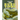 THE BUSH VIPER Do Your Kids Know This?: A Children's Picture Book