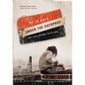 My 30 Days Under the Overpass: Not Your Ordinary Devotional