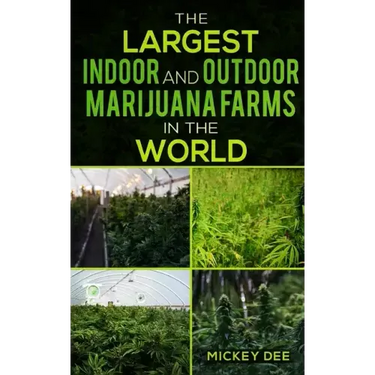 The Largest Indoor and Outdoor Marijuana Farms in the World