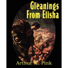 Gleanings from Elisha, His Life and Miracles