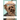 Training Handbook For Yorkshire Terrier: The Ultimate Guide To Train Your Yorkshire Terrier At Home: Techniques To Train A Yorkshire Terrier