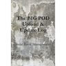 The BIG POD Upload & Update Log