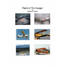 Flights of the Voyager