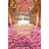 What Happens After Death-Buddha Answers
