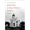 Jewish Life in Small-Town America: A History