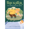 Trickster: The Being from My Mind