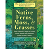 Native Ferns, Moss, and Grasses