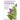 Hydroponics Herbs: Best Herbs For Hydroponic Gardening