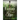 Fantasy of Fire