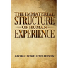 The Immaterial Structure of Human Experience