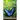 Coming Out of the Cocoon