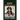 Izzy the Bernese Mountain Dog: A Picture Storybook for Children & Adults