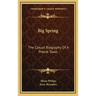 Big Spring: The Casual Biography Of A Prairie Town
