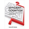 Efficient Cognition: The Evolution of Representational Decision Making