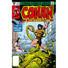 Conan the Barbarian: The Original Comics Omnibus Vol.5
