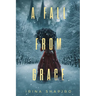 A Fall from Grace: A Nicole Rayburn Historical Mystery Book 6