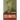 Celibates