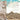 Ancient Civilizations - Mesopotamia, Egypt, and the Indus Valley Ancient History for Kids 4th Grade Children's Ancient History