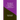 The Letters of Lord Nelson to Lady Hamilton, Volume. I.: With A Supplement Of Interesting Letters By Distinguished Characters