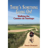 There's Something Going On!: Walking the Camino de Santiago