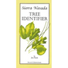 Sierra Nevada Tree Identifier