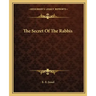 The Secret of the Rabbis
