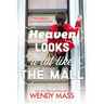Heaven Looks a Lot Like the Mall
