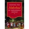 Shaping the Motherhood of Indigenous Mexico