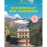 Accidentally Wes Anderson