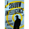 A Shadow Intelligence