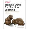 Training Data for Machine Learning: Human Supervision from Annotation to Data Science