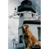 The Lightkeepers' Menagerie: Stories of Animals at Lighthouses