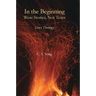 In the Beginning Were Stories, Not Texts: Story Theology
