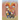 Let's all go to the Pumpkin Patch