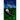 Under Aurora Skies