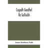 Cogadh Gaedhel Re Gallaibh; The War Of The Gaedhil With The Gaill, Or, The Invasions Of Ireland By The Danes And Other Norsemen: The Original Irish Te