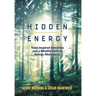 Hidden Energy: Tesla-inspired inventors and a mindful path to energy abundance