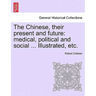 The Chinese, Their Present and Future: Medical, Political and Social ... Illustrated, Etc.