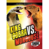 King Cobra vs. Mongoose