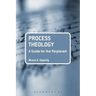 Process Theology: A Guide for the Perplexed